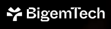 Bigemtech